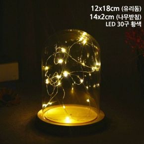 LED 원목받침 타원유리돔 용기 17