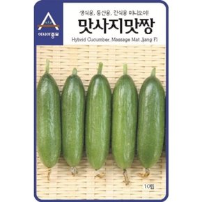 간식용 오이씨앗 맛사지맛짱 10립 미니오이 종자 (WBDA923)