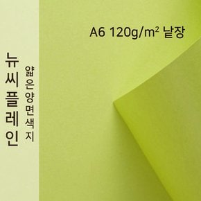종이문화 뉴씨플레인 얇은 양면색상지 120g A6 No.07 배추색 낱장 1매 색지