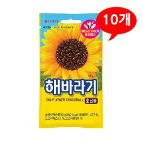 (7202980) 해바라기 초코볼 30gx10개