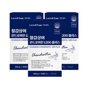 철갑상어 콘드로이친 1200 C6S 저분자 콘도로이친 60정 x 3 (S41993770)