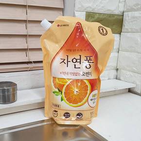 자연퐁 리필 오렌지 1.1kg