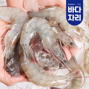 바다자리 살아있을 때 급냉한 국산 새우 1kg (37-45미)