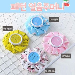 얼음 아이스팩 냉찜질 주머니 스포츠 골프 손목 어깨 머리 쿨링팩