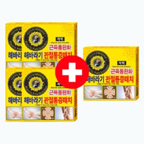 [코코팜] 해바라기 관절 통증패치 4매X4개 + 1개증정