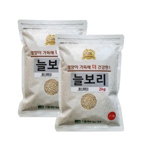 대한농산 국산 늘보리 4kg(2kgx2봉)