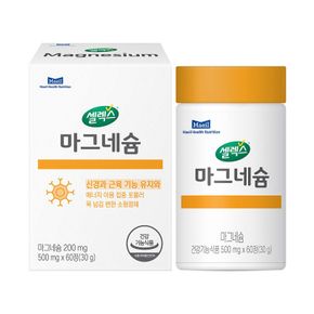[ETV] 셀렉스 마그네슘 1박스 [500mg x 60정] (30일분)[35938202]