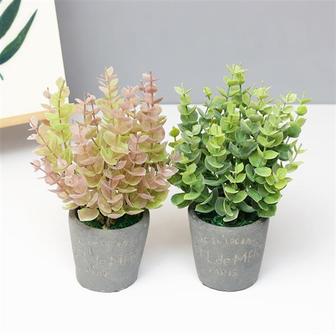 1. 생화같은 인테리..