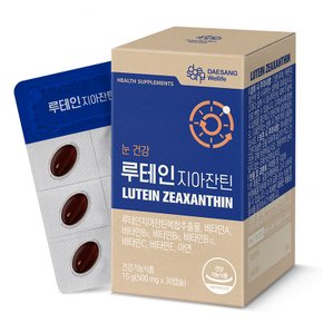 [대상웰라이프] 루테인 지아잔틴 (500 mg×30캡슐) /30일분