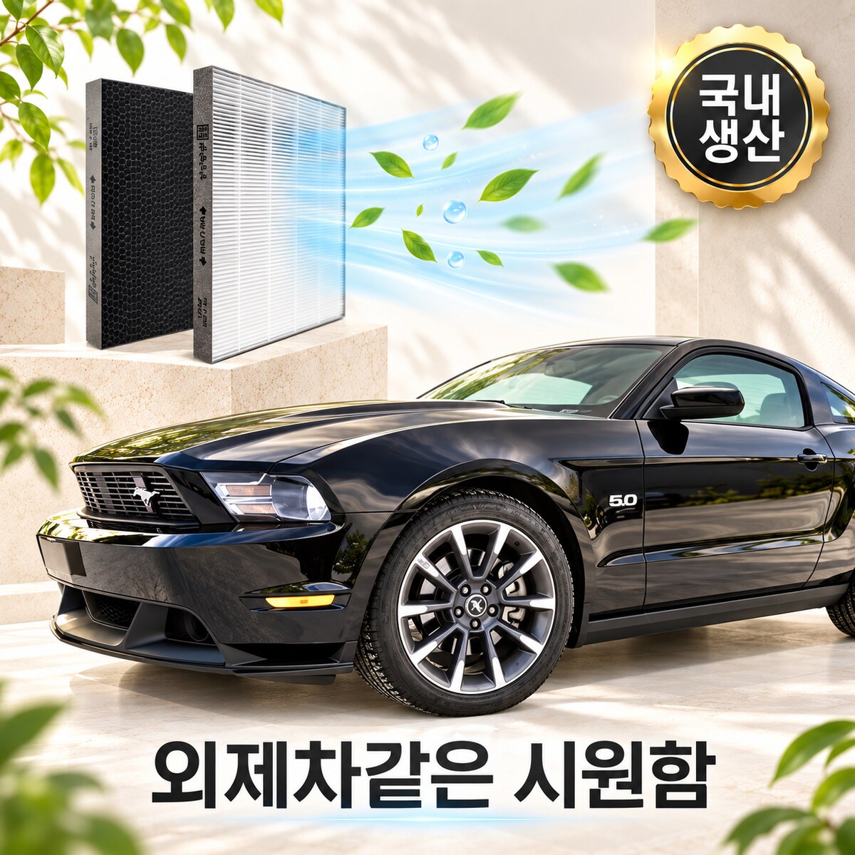 확대된 대표 대표이미지