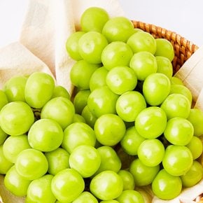 달콤아삭 가정용 고당도 샤인머스켓 1kg(1-2수)
