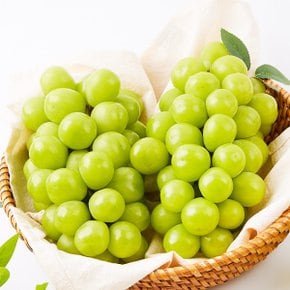 달콤아삭 가정용 고당도 샤인머스켓 1kg(1-2수)