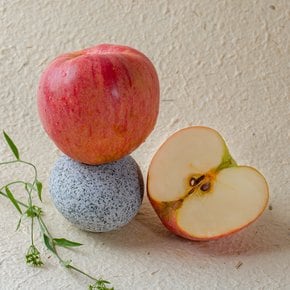 프리미엄 고당도 사과 3kg (대과/7-9입)