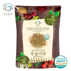 국내산 우슬 뿌리 분말 가루 100% HACCP 인증 100g