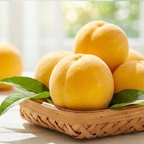 산지직송 타이벡 반말랑이 황도복숭아 2kg 7개 내외 장미네농원