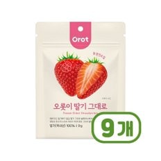 오롯이 딸기그대로 동결건조간식 9g x 9개