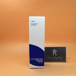 이즈앤트리 히아루론산 아쿠아 젤 크림 100mL