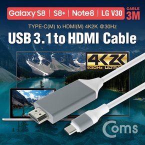 USB 3.1 컨버터 케이블 (3M, 흰색) BT799