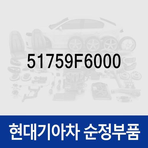 프랜지 너트-셀프 로킹 (51759F6000) 그랜저IG, 쏘나타LF, 아슬란, I40, 싼타페, 투싼, 팰리세이드, 그랜져 하이브리드, 넥쏘, 쏘나타LF 하이브리드, 쏘나타 DN8 현대모비스부품몰