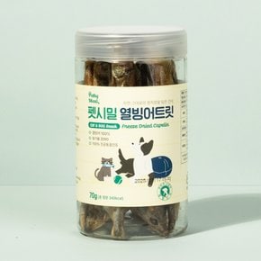 펫시밀 열빙어트릿 70g