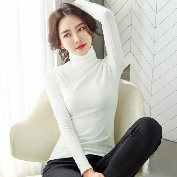 확대된 대표 image1