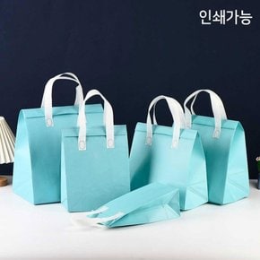 부직포 보온보냉가방 보온보냉백 아이스백 인쇄가능