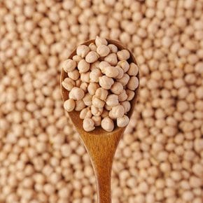 청년너츠 병아리콩 1kg