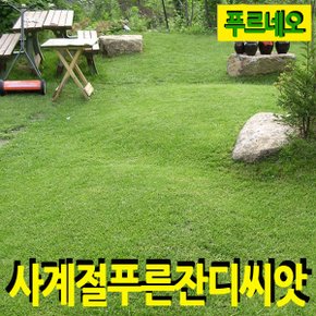 푸르네오 사계절 푸른 잔디씨 잔디씨앗 10평용/정원용/밭흙용