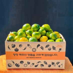 24년 햇 귤 극조생귤 로얄과 2kg