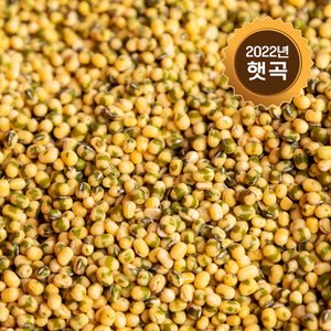 논앤밭위드 2022년 햇곡 깐녹두(수입산) 2kg