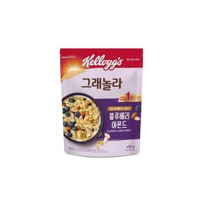 켈로그 블루베리 아몬드 그래놀라 450g 1개