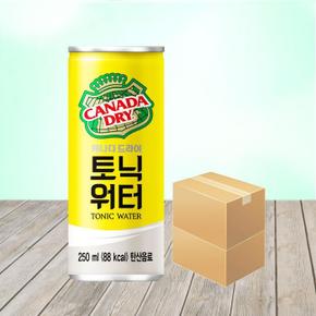 캐나다드라이 토닉워터 250ml x 60캔 (S10512982)