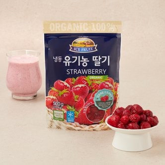 웰팜 [냉동] 자연원 유기농 딸기 500g