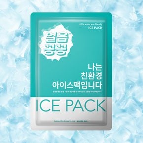 아이스팩 냉찜질 얼음 쿨팩 택배 포장 식품용 12x18 반제품 소형 50개