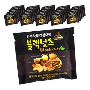 하루하루 건강더함 블랙넛츠 25g x 100봉(낱봉)