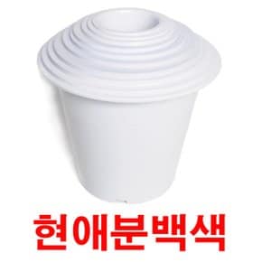 화분백화점 플라스틱 화분 현애분 검정 백색 플라스틱 백색 흑색 현애분