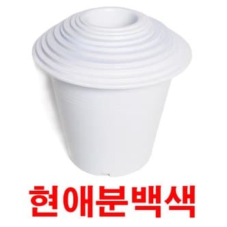  화분백화점 플라스틱 화분 현애분 검정 백색 플라스틱 백색 흑색 현애분