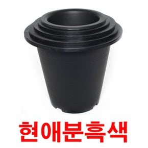 화분백화점 플라스틱 화분 현애분 검정 백색 플라스틱 백색 흑색 현애분