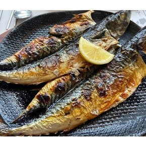 가락시장 국내산 통고등어 3미 2Kg