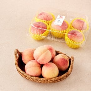 백도 복숭아 1.2kg (4~6입) 팩