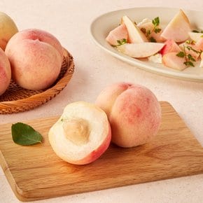 백도 복숭아 1.2kg (4~6입) 팩