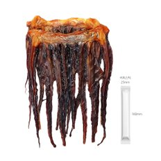 국내가공 오징어 오다리 망족 500g