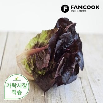 팸쿡 가락시장직송 적로메인 상추 1.8-2kg