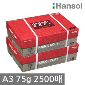 A3 복사용지(A3용지) 75g 1250매 2BOX