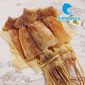 맛있는 건오징어 700g/6~10마리