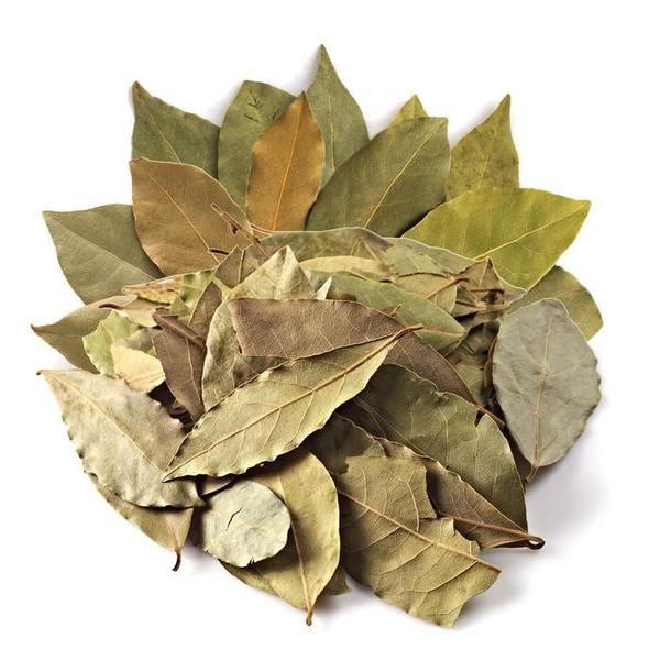 [신선약초]  월계수잎 230g (S10455814)