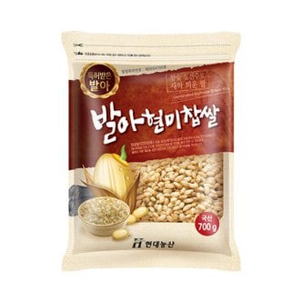 현대농산 국산 발아현미찹쌀 700g 발아찰현미