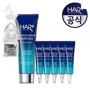 HAIRPLUS 단백질본드 앰플 145ml+단백질 앰플15ml 5개