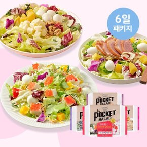 6팩 혼합 패키지 (크래미2+치즈1+숯불갈비1+훈제오리2) (뜯어서 바로 먹는 샐러드)
