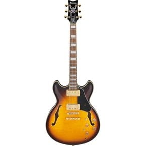 John Scofield Signature JSM10EM-TTB (Two-tone Burst) 아이버니스 존 스코필드